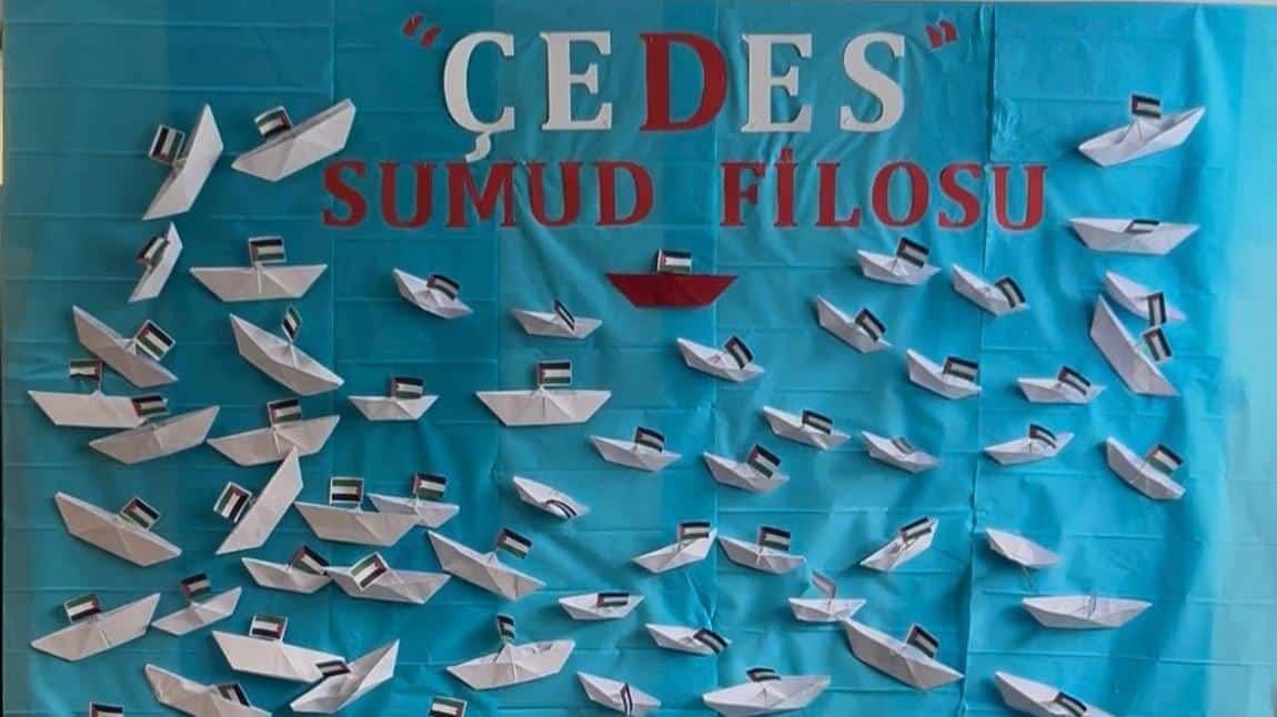 ÇEDES Projesi